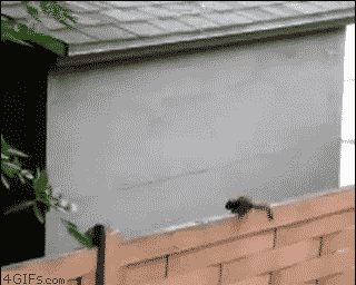 is it too late now to say sorry