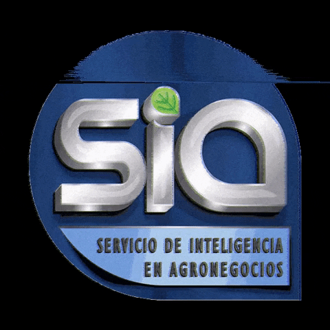 SIA BRASIL GIF