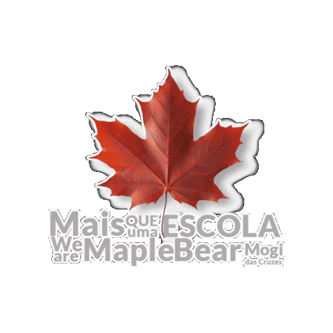 Maple Bear Mogi Sticker