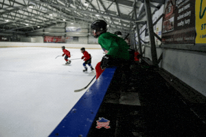 Hockey GIF