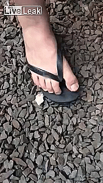 brazil flip GIF
