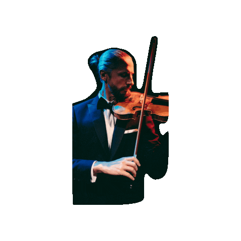 Violin Sticker by JohannesFleischmann