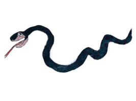 Snako GIF by Kunstkwartier