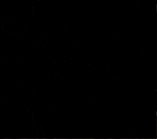 Laugh GIF
