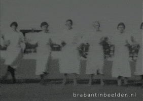 Vintage Congratulations GIF by Brabant in Beelden