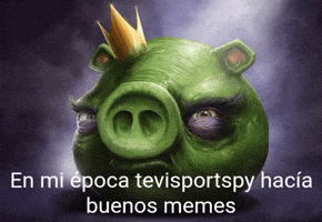 Tevisportspy GIF