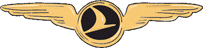 Tkaircraft Sticker by Turkish Airlines