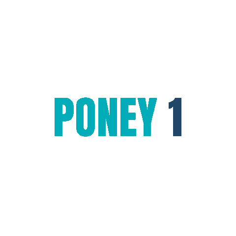 Horse Pony Sticker by EKIDATA