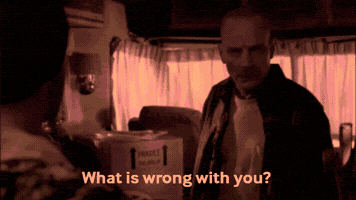 What Is Wrong With You Breaking Bad GIF