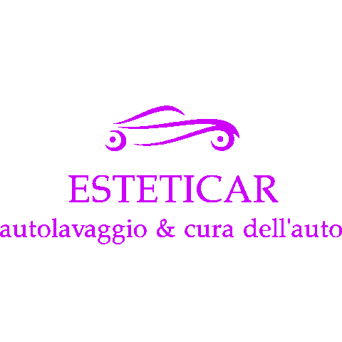 Car Carwash Sticker by Esteticar