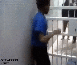 In Jail GIFs - Get the best GIF on GIPHY