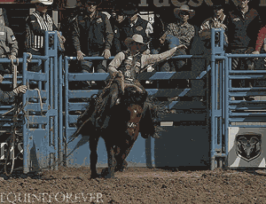 Image result for rodeo gif