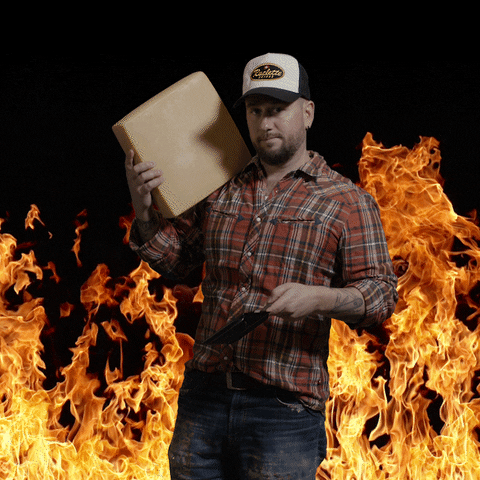 GIF by TRAUFFER