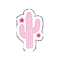 Cactus Aniversario Sticker by Fashion Corner Boutique