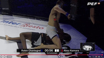 Mma Robin GIF by Old School Academy