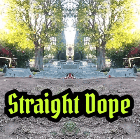Flipped Out Straight Dope GIF