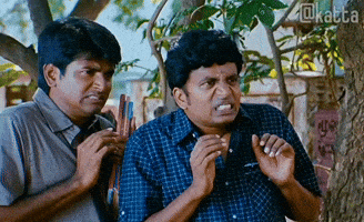 Katta GIF