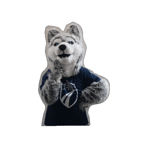 Madison College Sticker