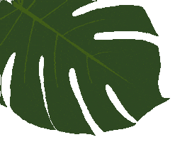 Plant Sticker