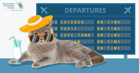 Cat Airport GIF by European Consumer Centre Poland - Find & Share on GIPHY