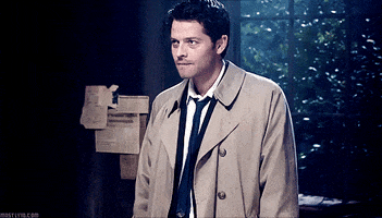 this is all i have to contribute misha collins GIF