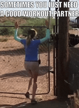 Funny Workout Gifs Get The Best Gif On Giphy