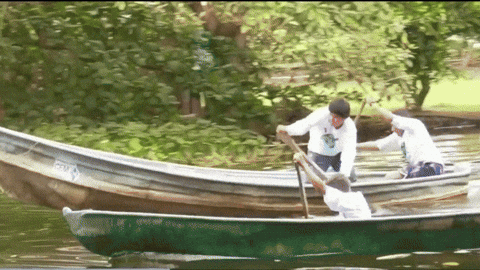 Animated GIF - Find & Share on GIPHY