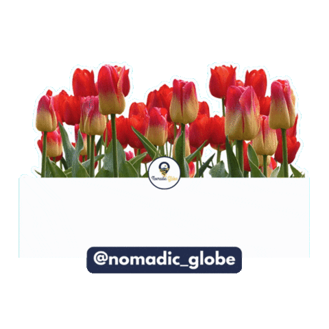 Nomadic Globe Sticker