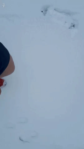Sport Snow GIF
