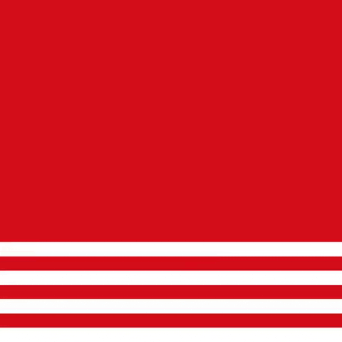 Elections GIF