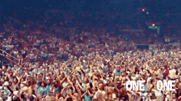 GIF by Magnolia Pictures