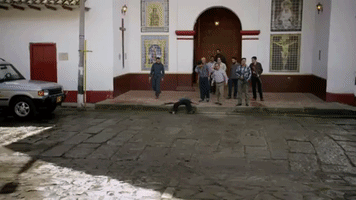 Animated GIF
