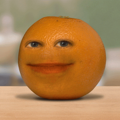 Confused What The GIF by AnnoyingOrangeGifs