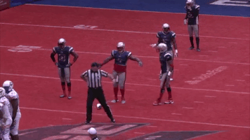 brandonraper  GIF