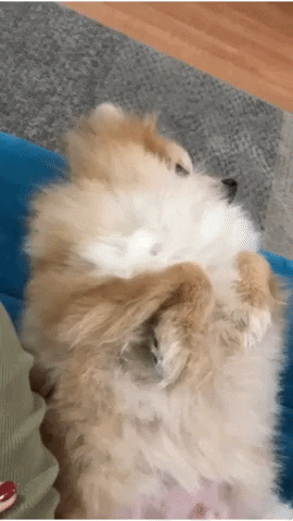 Joaquin Pracaes GIF by Cabide Filmes