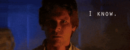 Movie gif. Harrison Ford as Han Solo in Star Wars stands with half of his face in shadow as he gazes fiercely and says, "I know."