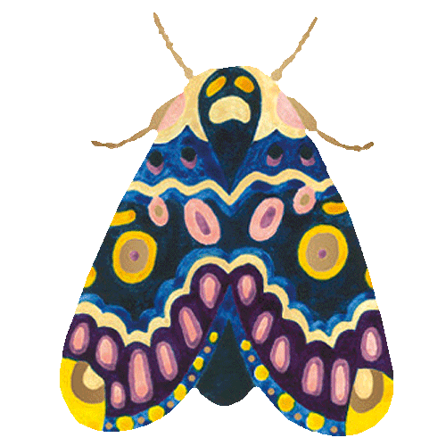 Butterfly Bug Sticker