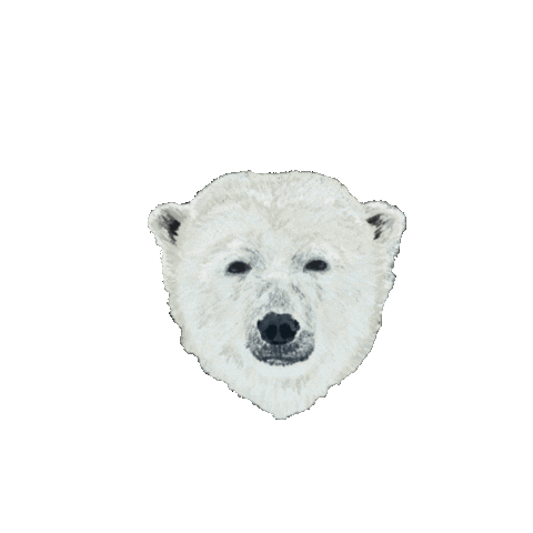 Ozzy Bear Originals Sticker