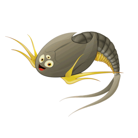 Triops King Sticker