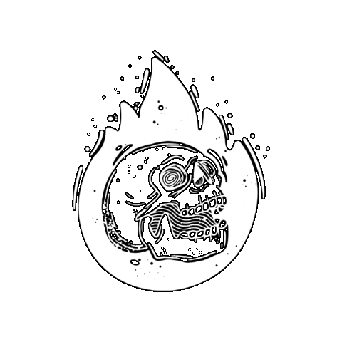 Animated Sticker
