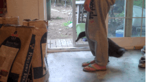circling cabin fever GIF