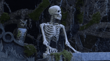 Halloween GIF