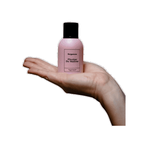 Summer Yes Sticker by Bergamoss