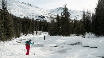 Winter GIF