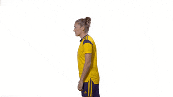 Sport Soccer GIF by Swedish Football Association