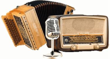 Radio Vm1 GIF