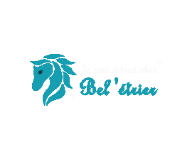 Beletrier Sticker