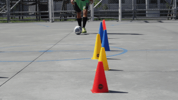 marialauracharles sports soccer futbol costa rica GIF