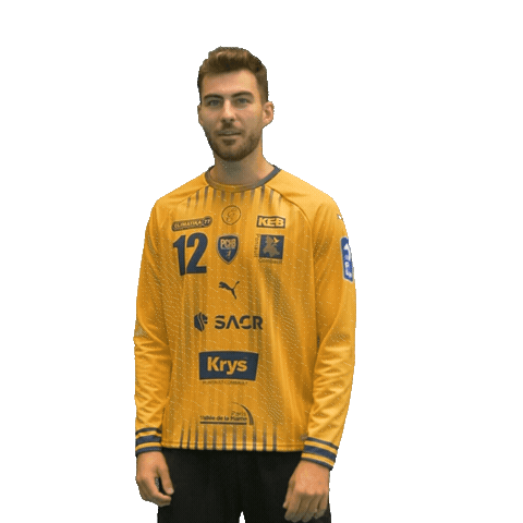 Pontault Pchb Sticker by Pontault-Combault Handball