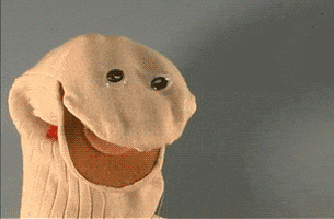 Sock Puppet GIFs - Get the best GIF on GIPHY